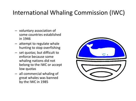 iwc whaling convention|who banned hunting whales.